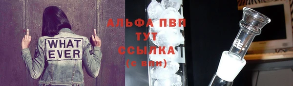 соль ск Каменка