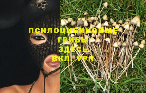тгк Верхний Тагил