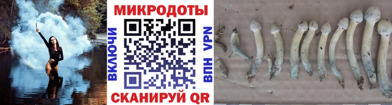 Псилоцибиновые грибы GOLDEN TEACHER Жирновск